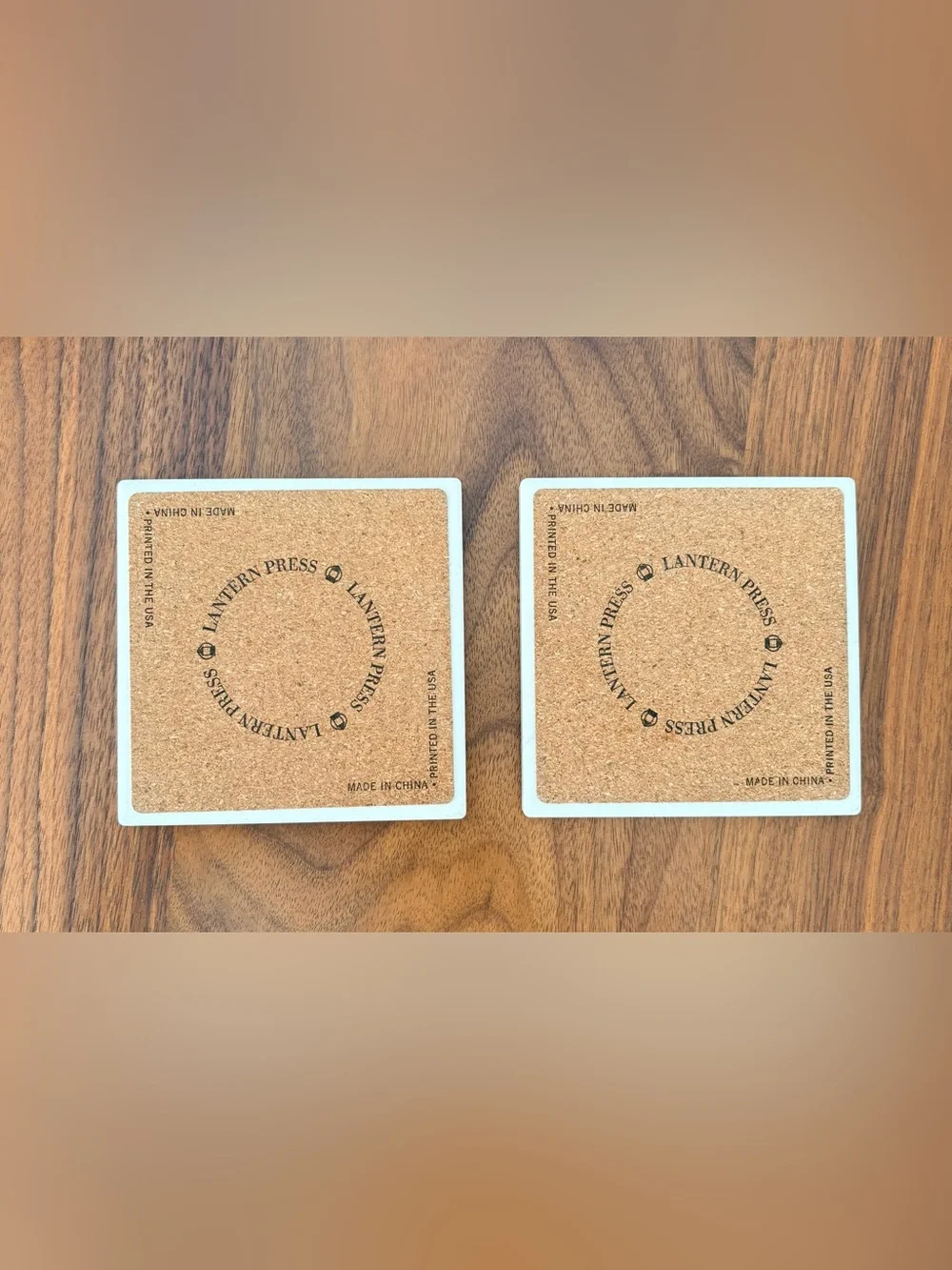 Palm Springs California Ceramic Coaster Set of 2 | Absorbent Stone & Cork Back